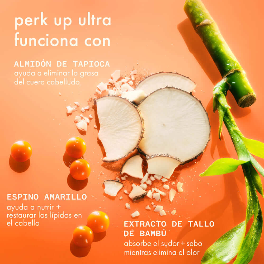 PERK UP ULTRA OIL CONTROL DRY SHAMPOO (CHAMP&Uacute; EN SECO)